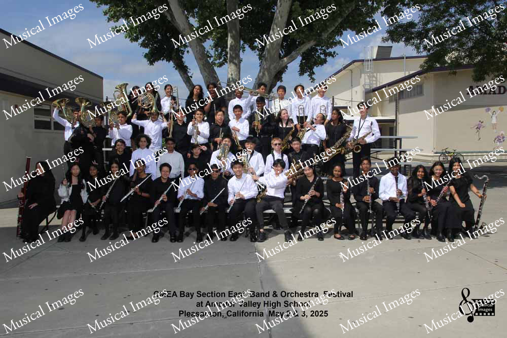 Musical Images